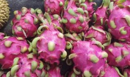 蛟龙果是什么水果,揭秘神秘水果的传奇魅力