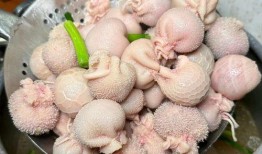 肚包肉,传统美食的传承与创新