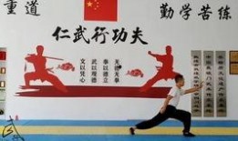 五步拳教学视频慢动作,逐招逐式解析武术精髓